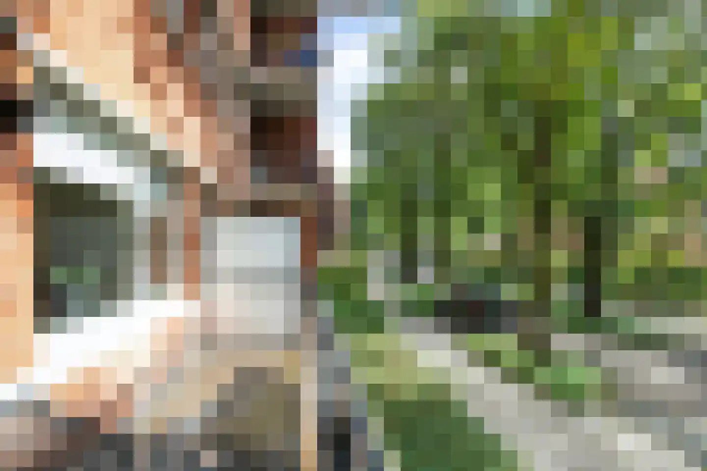 Iepenlaan 66 Alkmaar thumbnail 35