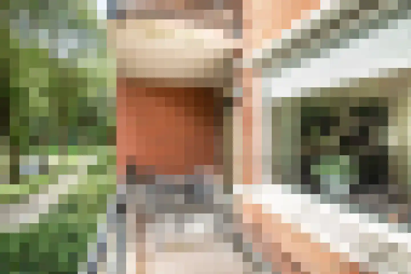 Iepenlaan 66 Alkmaar thumbnail 36