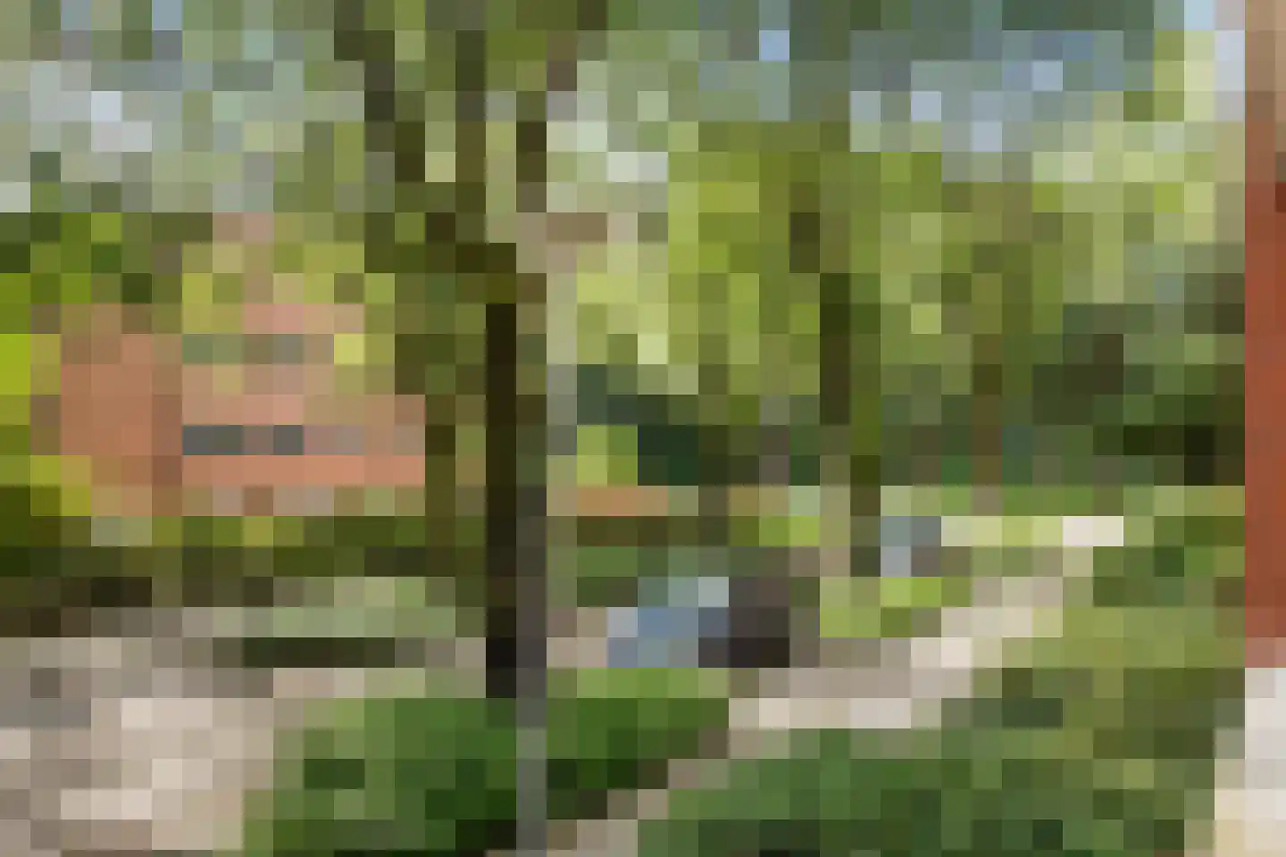 Iepenlaan 66 Alkmaar thumbnail 37