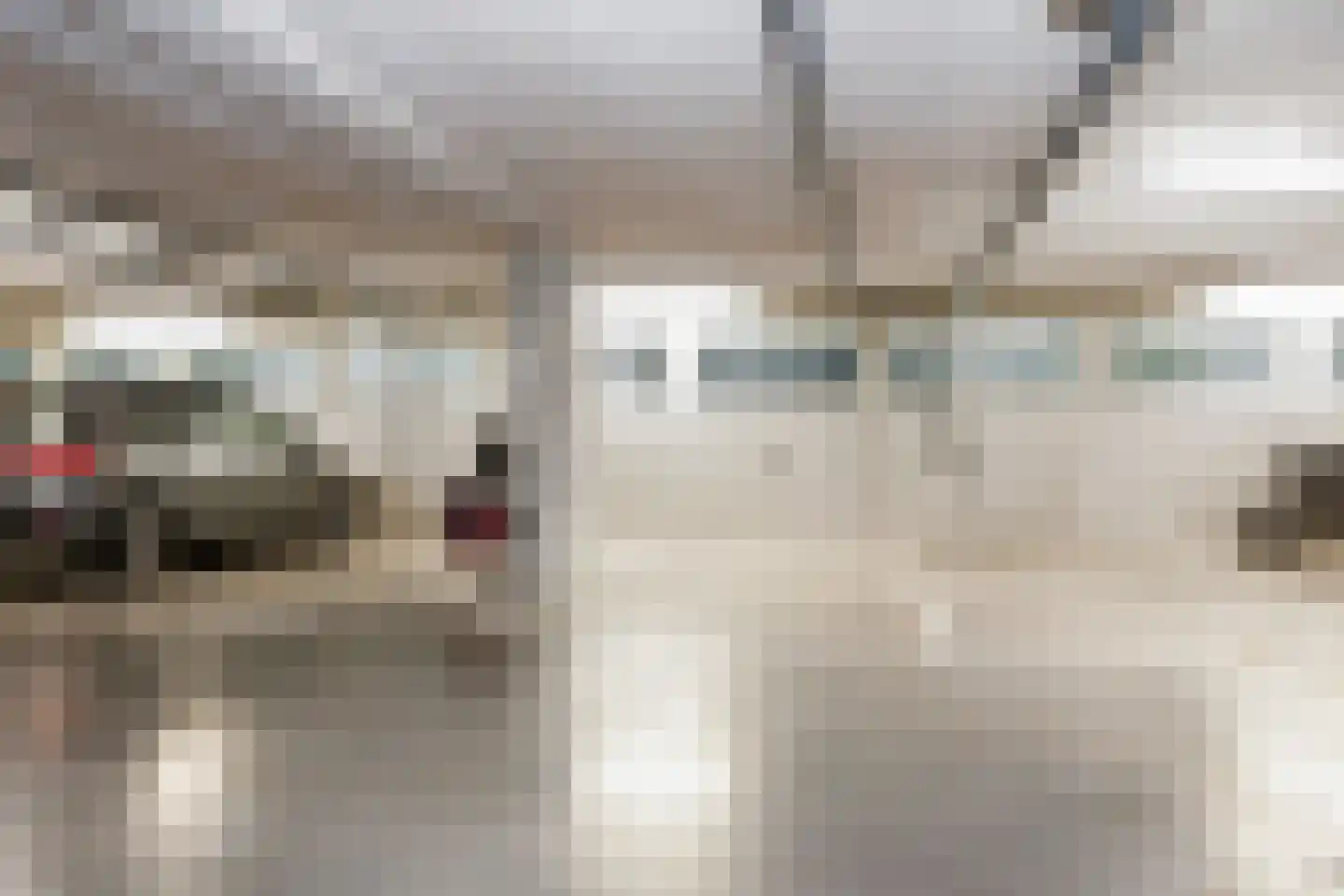 Iepenlaan 66 Alkmaar thumbnail 38