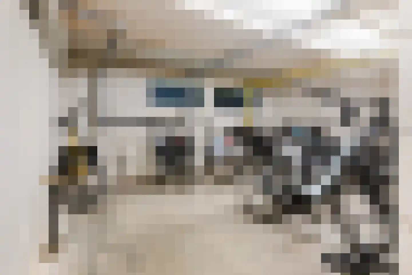 Iepenlaan 66 Alkmaar thumbnail 39