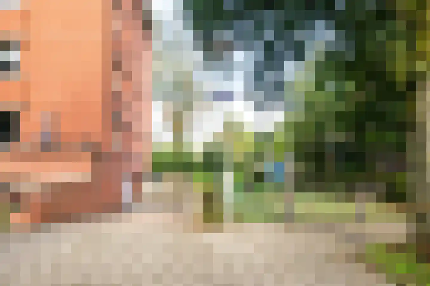 Iepenlaan 66 Alkmaar thumbnail 40