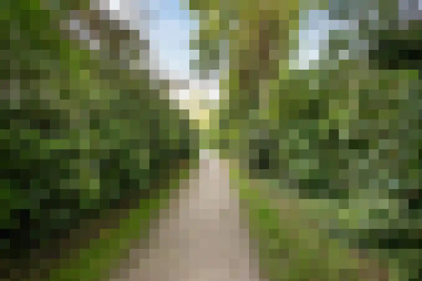 Iepenlaan 66 Alkmaar thumbnail 42