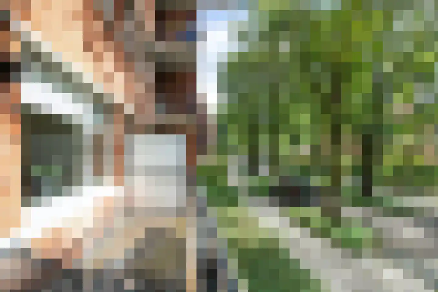 Iepenlaan 66 Alkmaar thumbnail 6