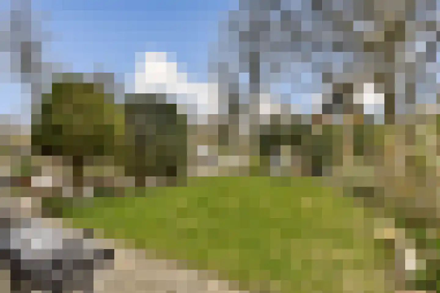 Iepenlaan 66 Dordrecht thumbnail 25