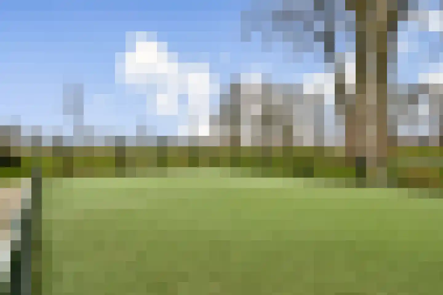 Iepenlaan 66 Dordrecht thumbnail 31