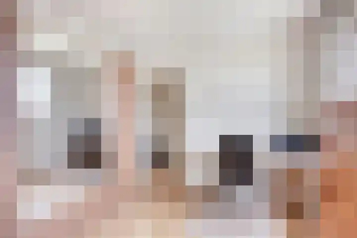 Iepenlaan 7 Bemmel thumbnail 19
