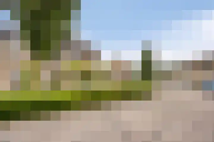 Iepenlaan 7 Bemmel foto 2