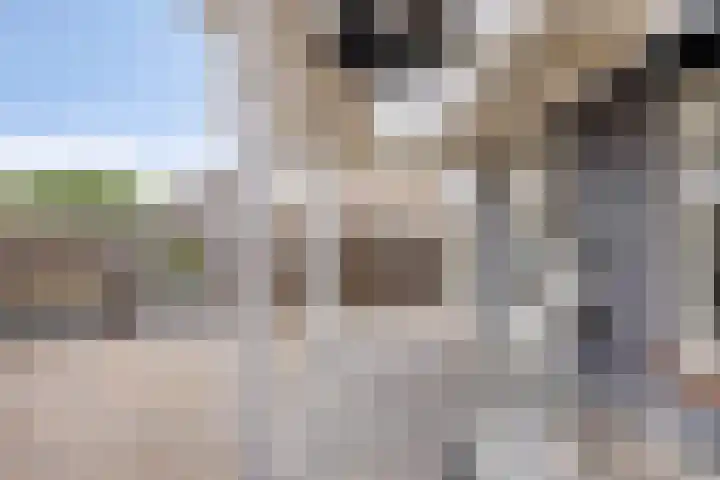 Iepenlaan 7 Bemmel thumbnail 29