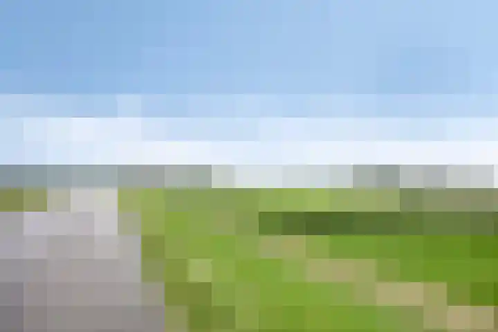 Iepenlaan 7 Bemmel thumbnail 34