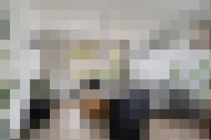 Iepenlaan 7 Bemmel thumbnail 6
