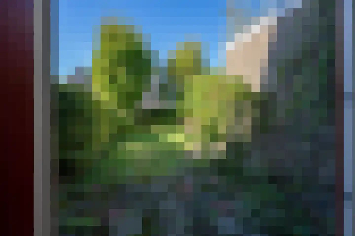 Iepenlaan 7 Castricum thumbnail 15
