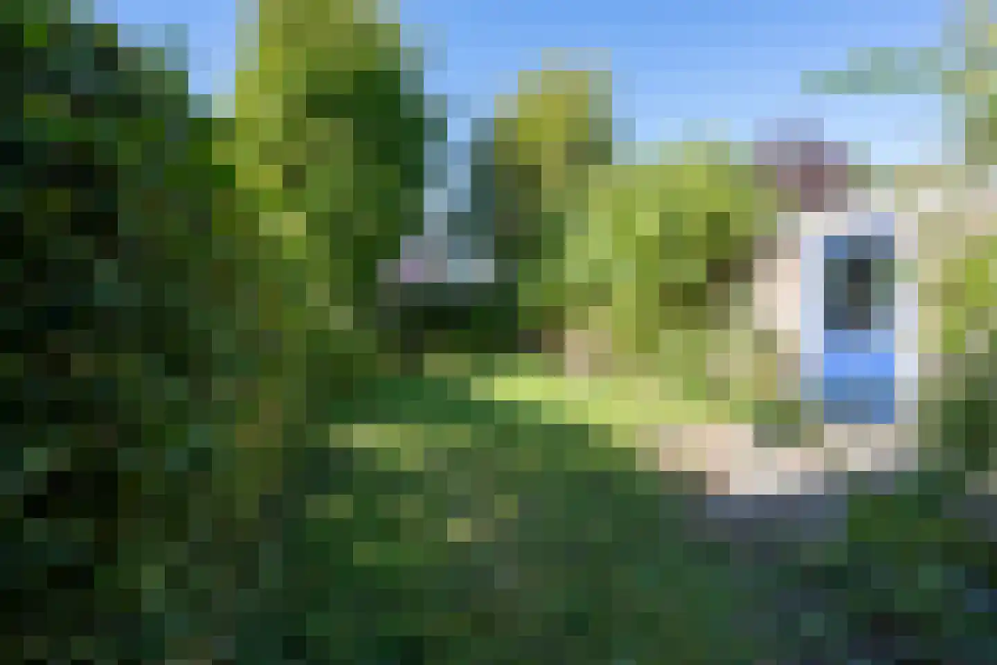 Iepenlaan 7 Castricum thumbnail 17