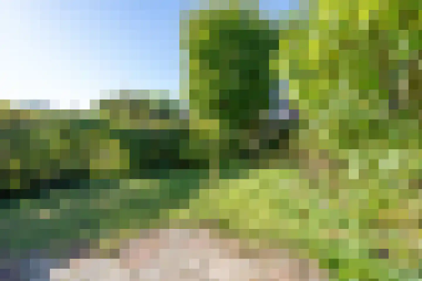 Iepenlaan 7 Castricum thumbnail 18