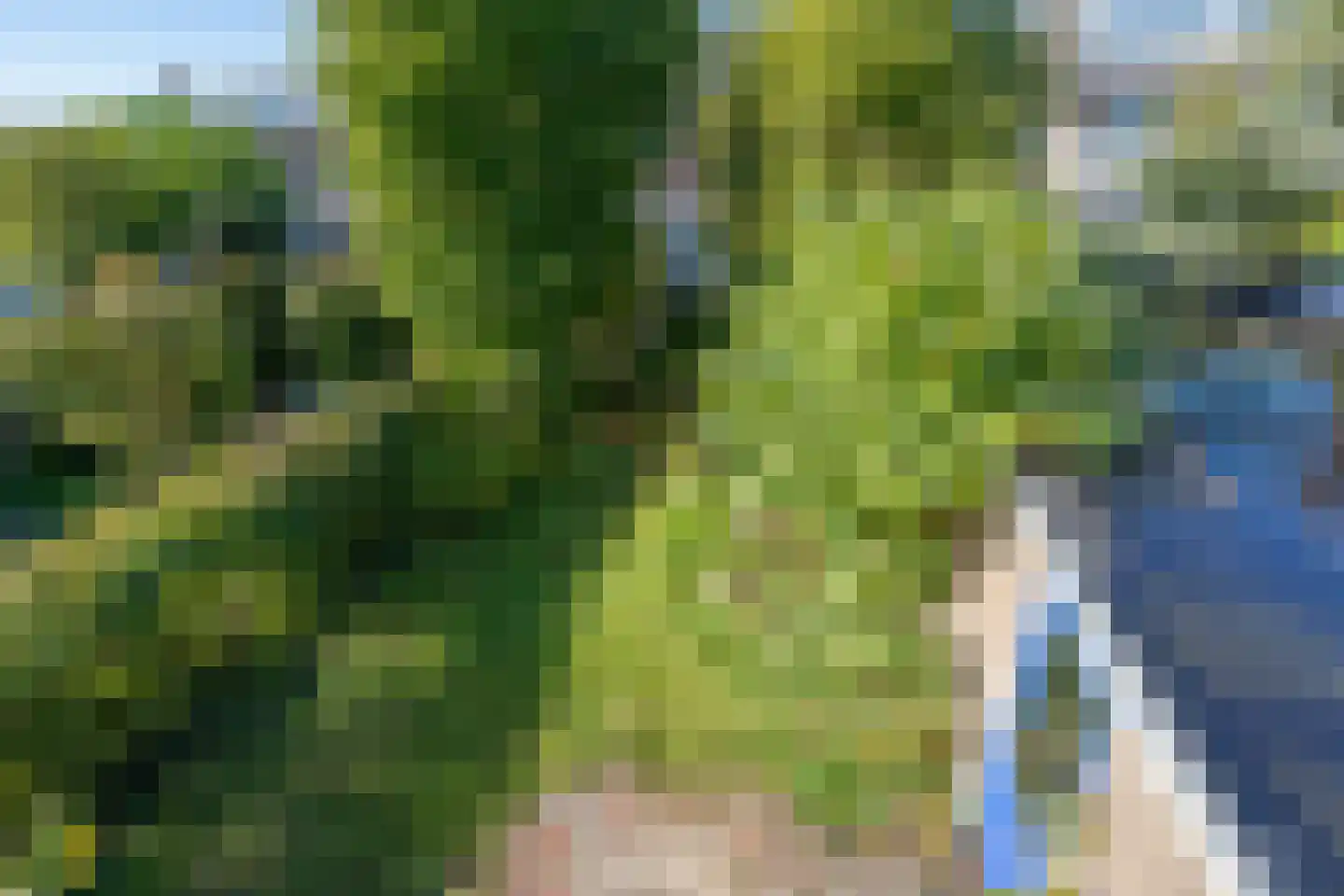 Iepenlaan 7 Castricum thumbnail 39