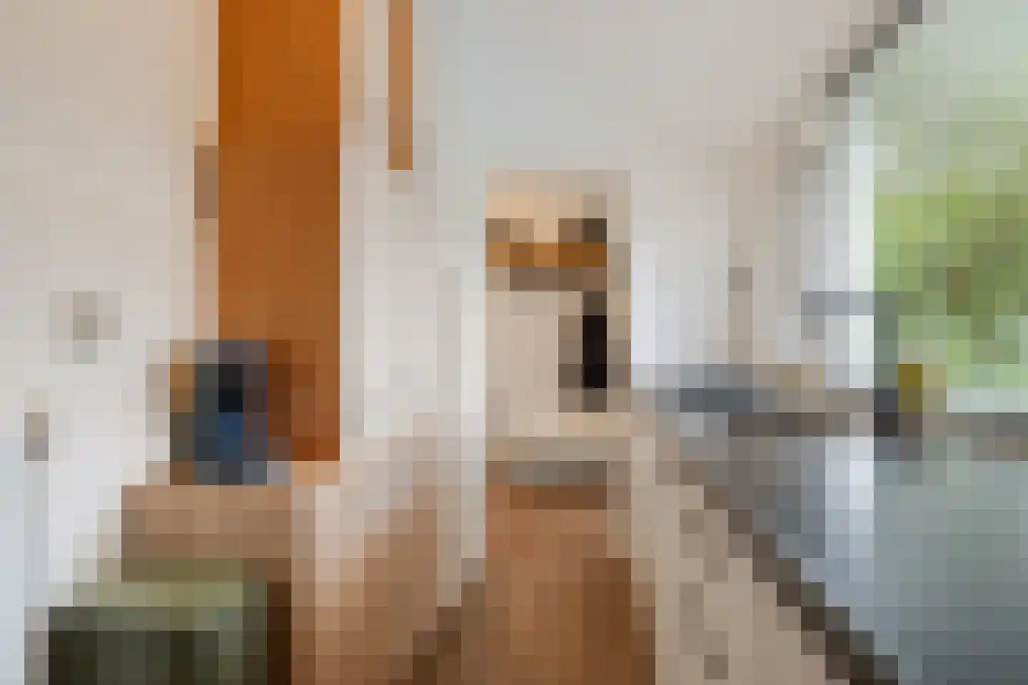 Iepenlaan 7 Heerhugowaard thumbnail 20