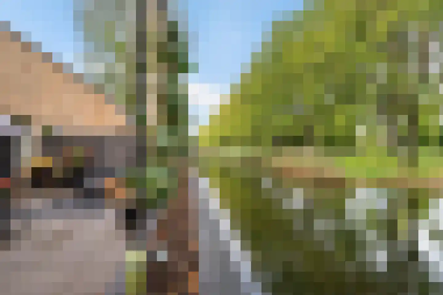 Iepenlaan 7 Heerhugowaard thumbnail 33