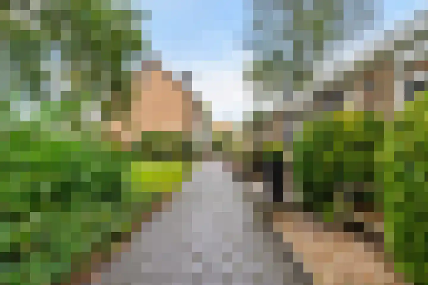 Iepenlaan 7 Heerhugowaard thumbnail 37