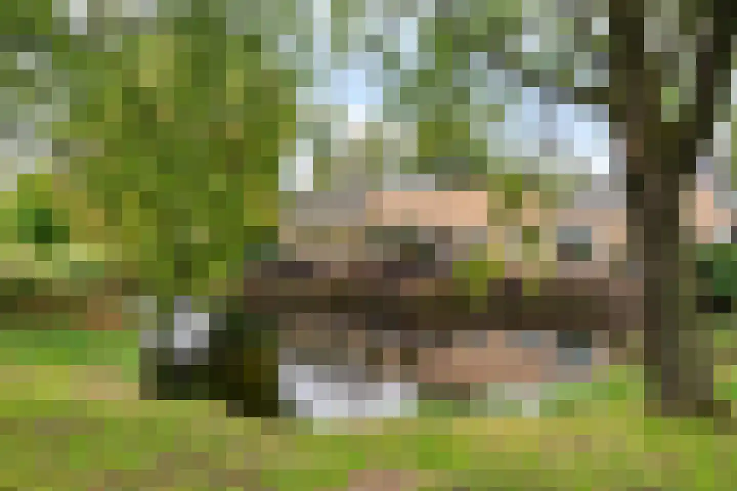 Iepenlaan 7 Heerhugowaard thumbnail 38