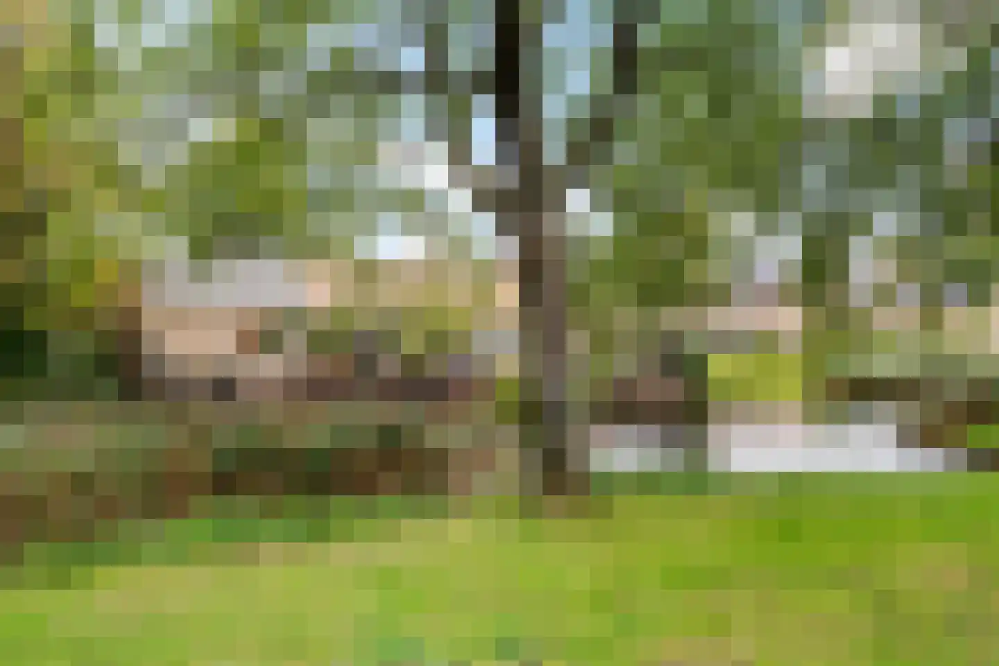 Iepenlaan 7 Heerhugowaard thumbnail 39