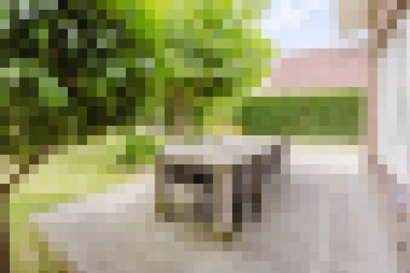 Iepenlaan 7 Woudrichem thumbnail 13