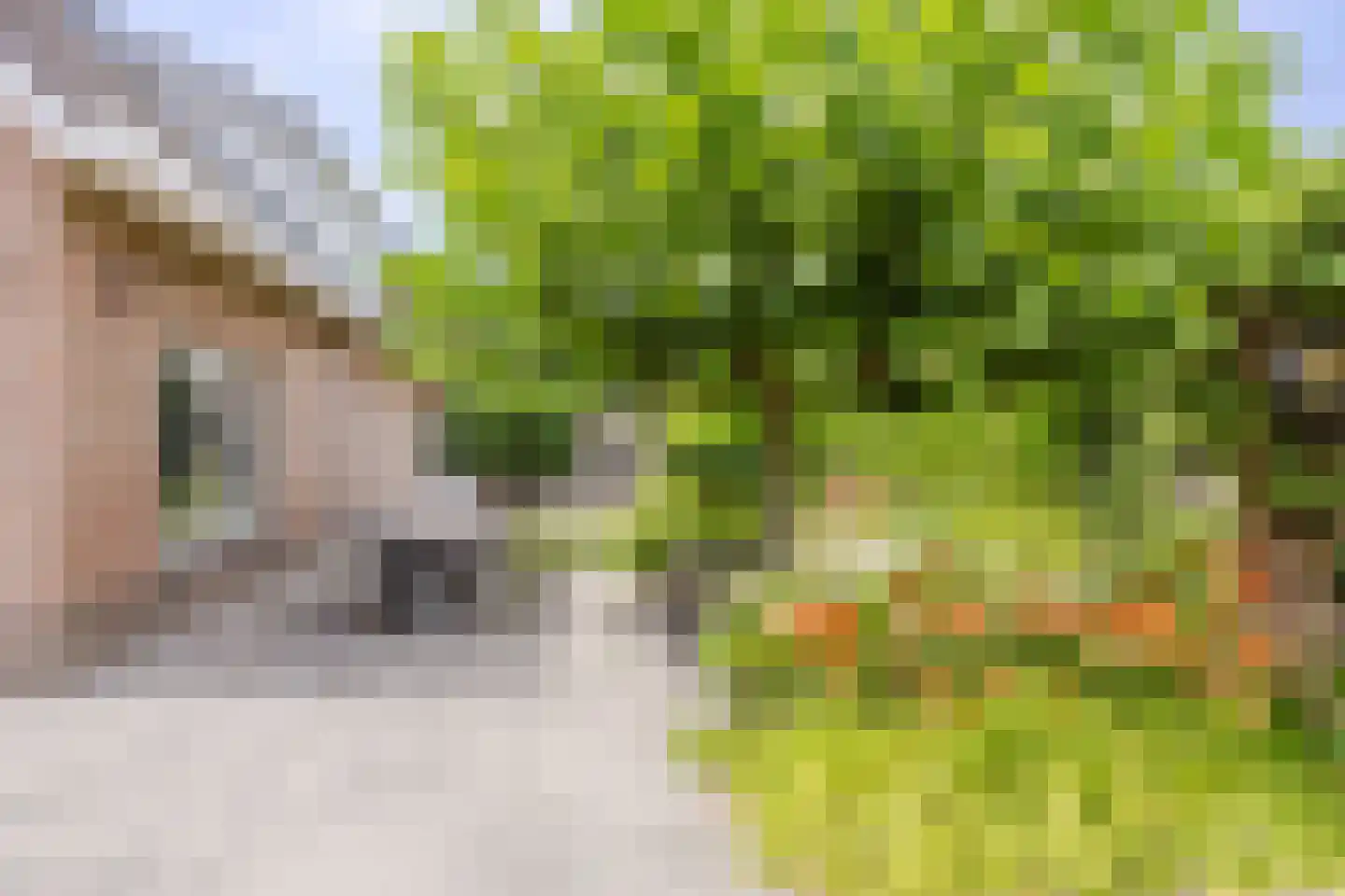 Iepenlaan 7 Woudrichem thumbnail 14