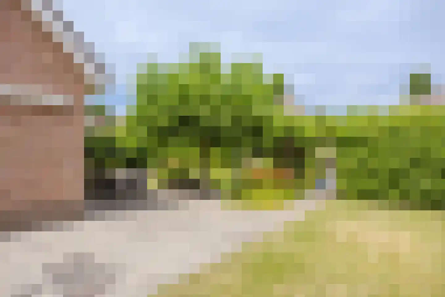 Iepenlaan 7 Woudrichem thumbnail 15