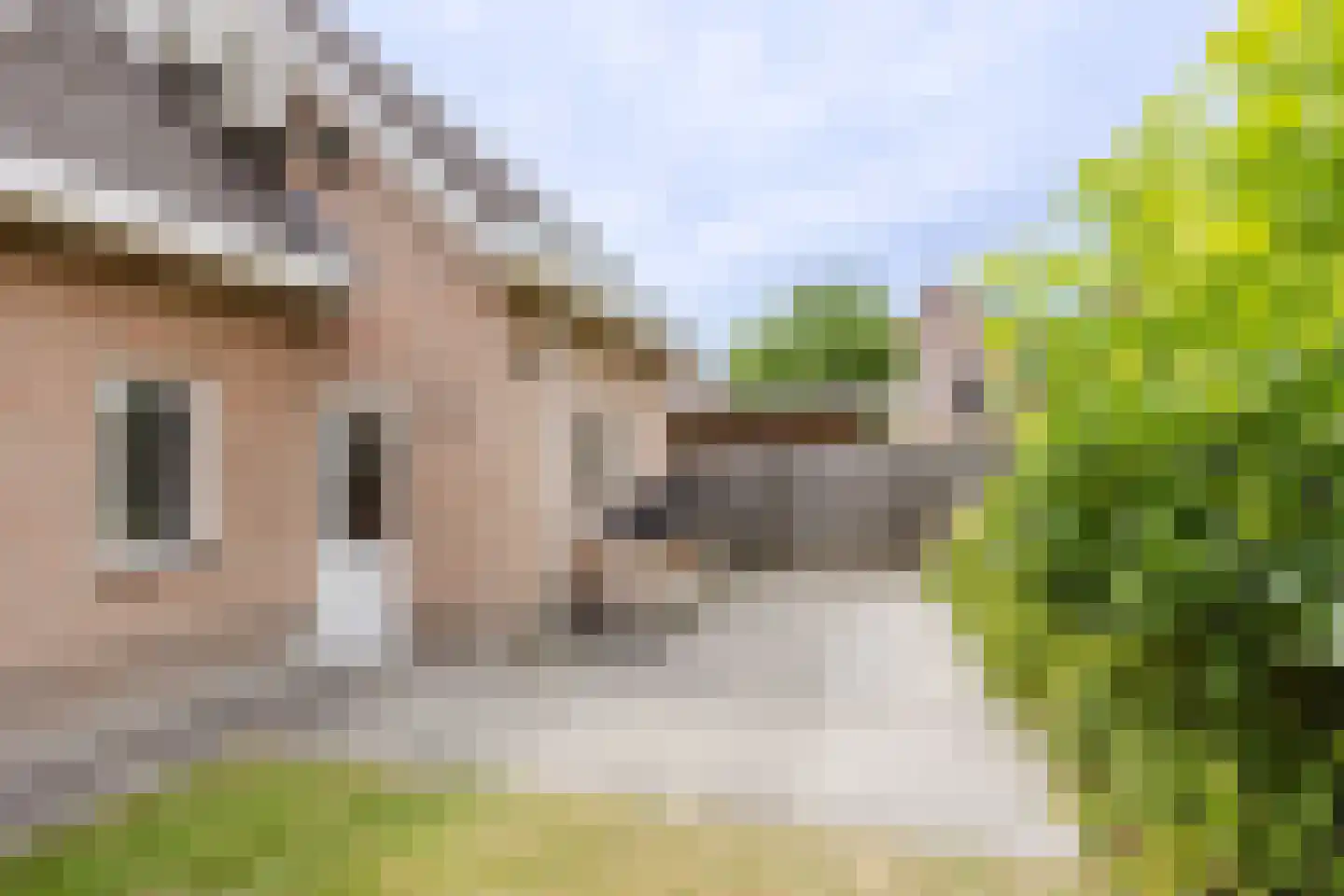 Iepenlaan 7 Woudrichem thumbnail 17