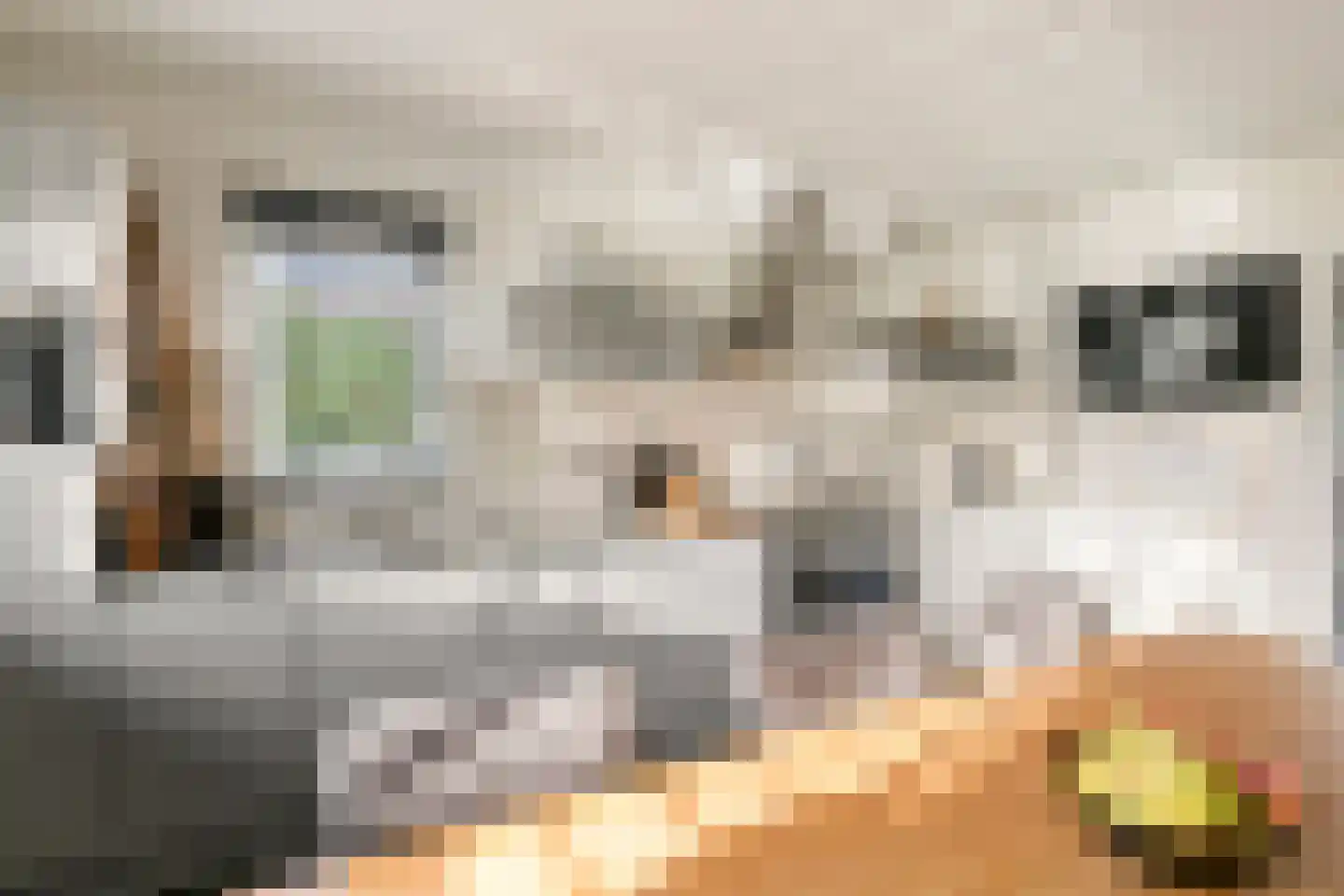 Iepenlaan 7 Woudrichem thumbnail 17