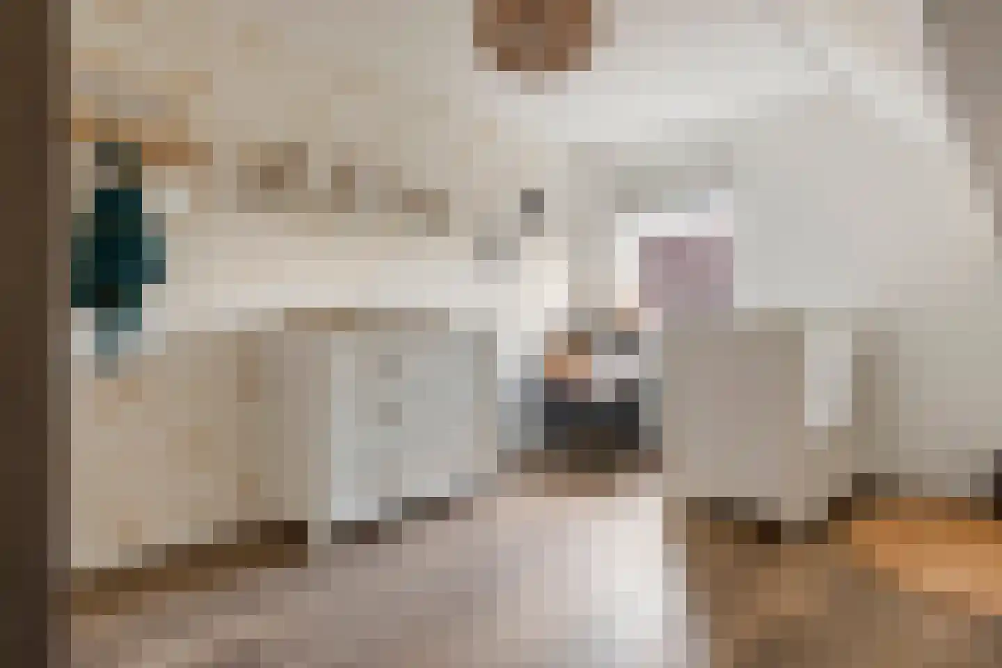 Iepenlaan 7 Woudrichem thumbnail 21