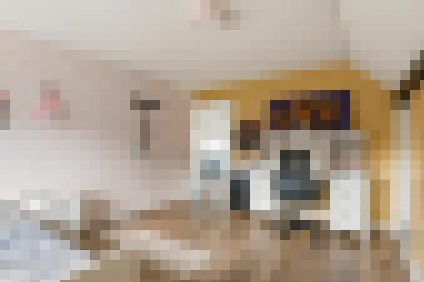 Iepenlaan 7 Woudrichem thumbnail 24