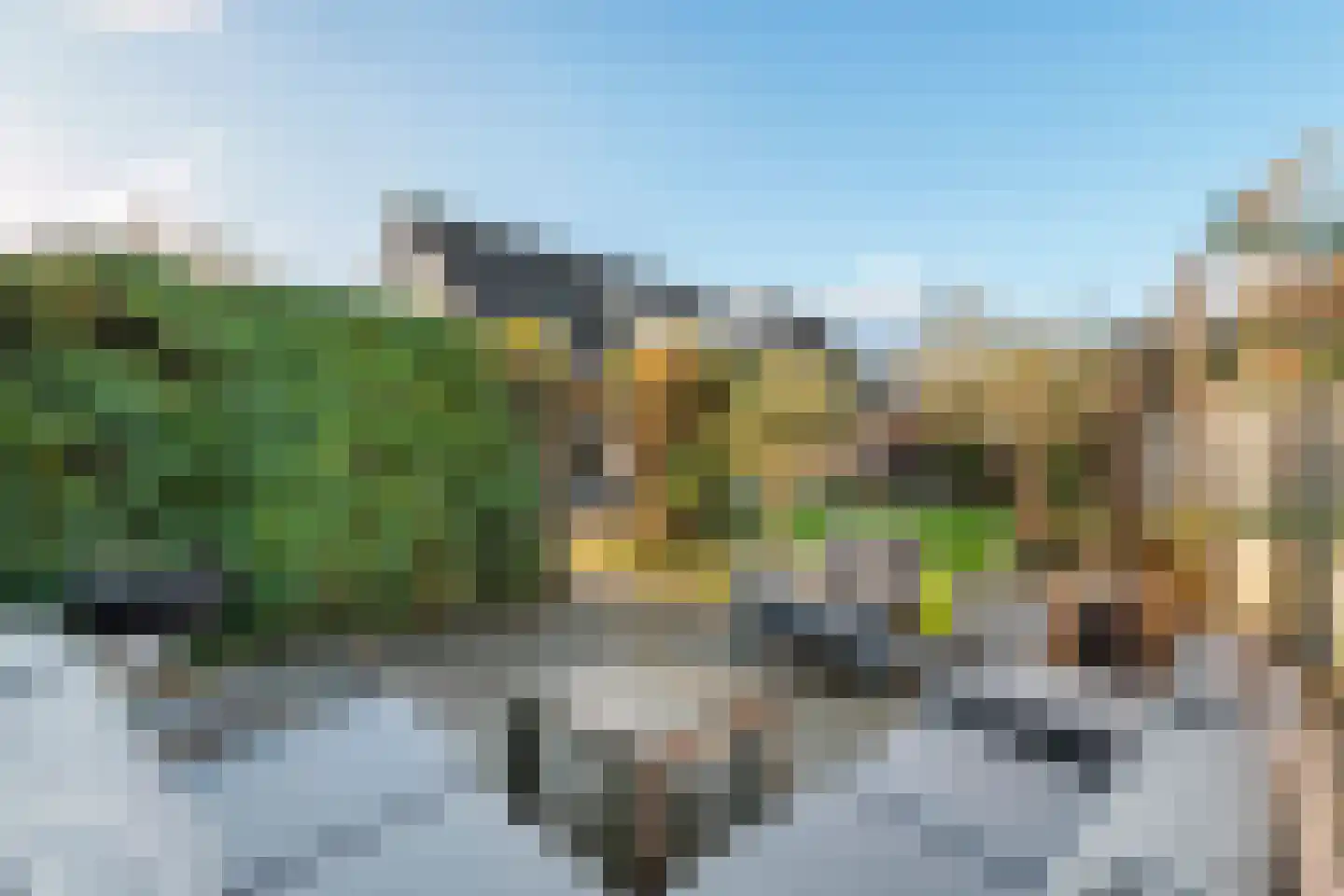 Iepenlaan 7 Woudrichem foto 3