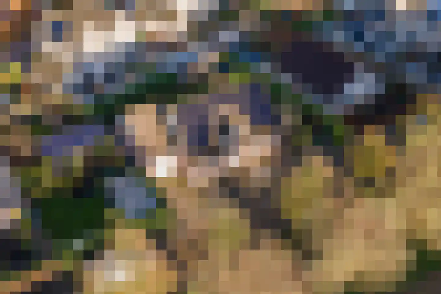 Iepenlaan 7 Woudrichem thumbnail 35