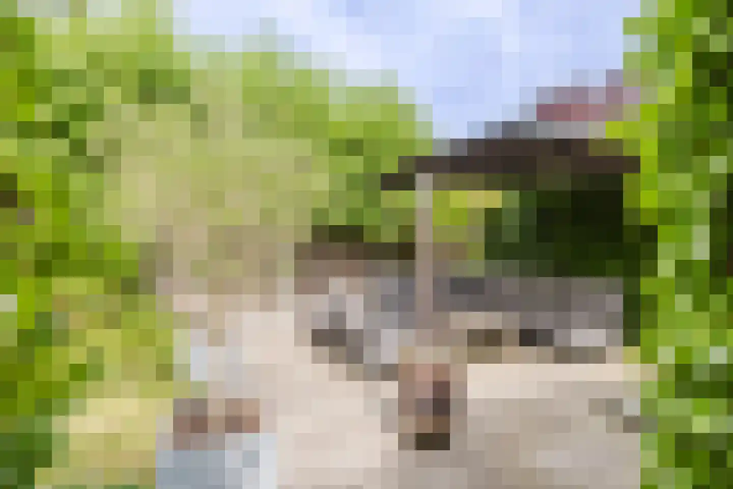 Iepenlaan 7 Woudrichem thumbnail 4