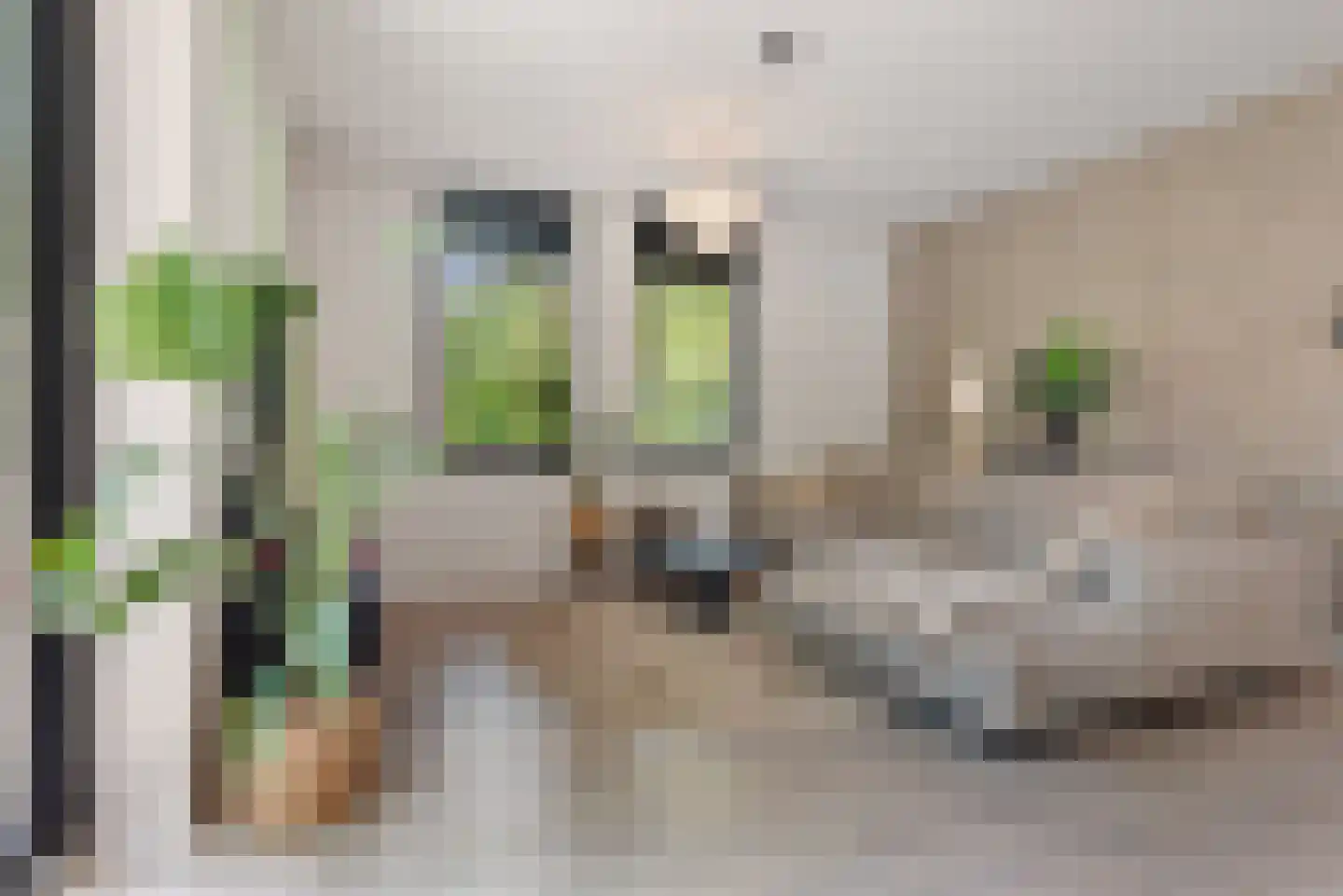 Iepenlaan 74 Alkmaar thumbnail 11