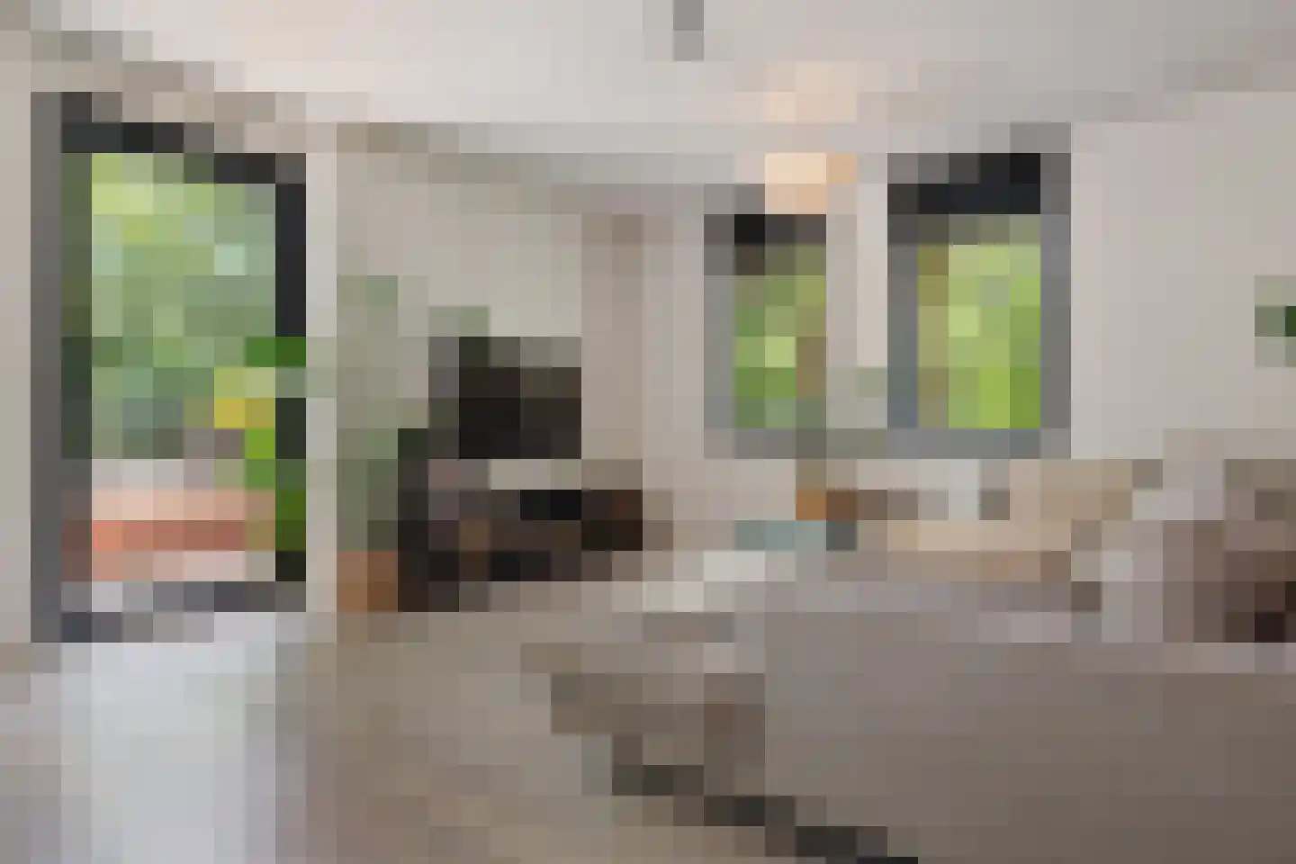 Iepenlaan 74 Alkmaar thumbnail 12