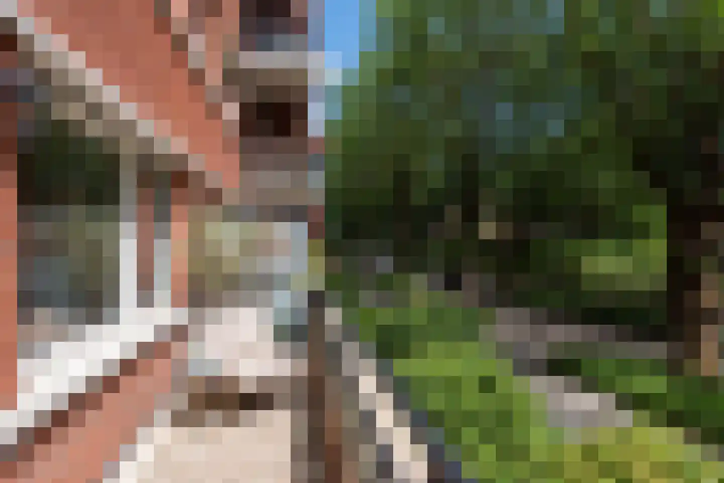 Iepenlaan 74 Alkmaar thumbnail 13
