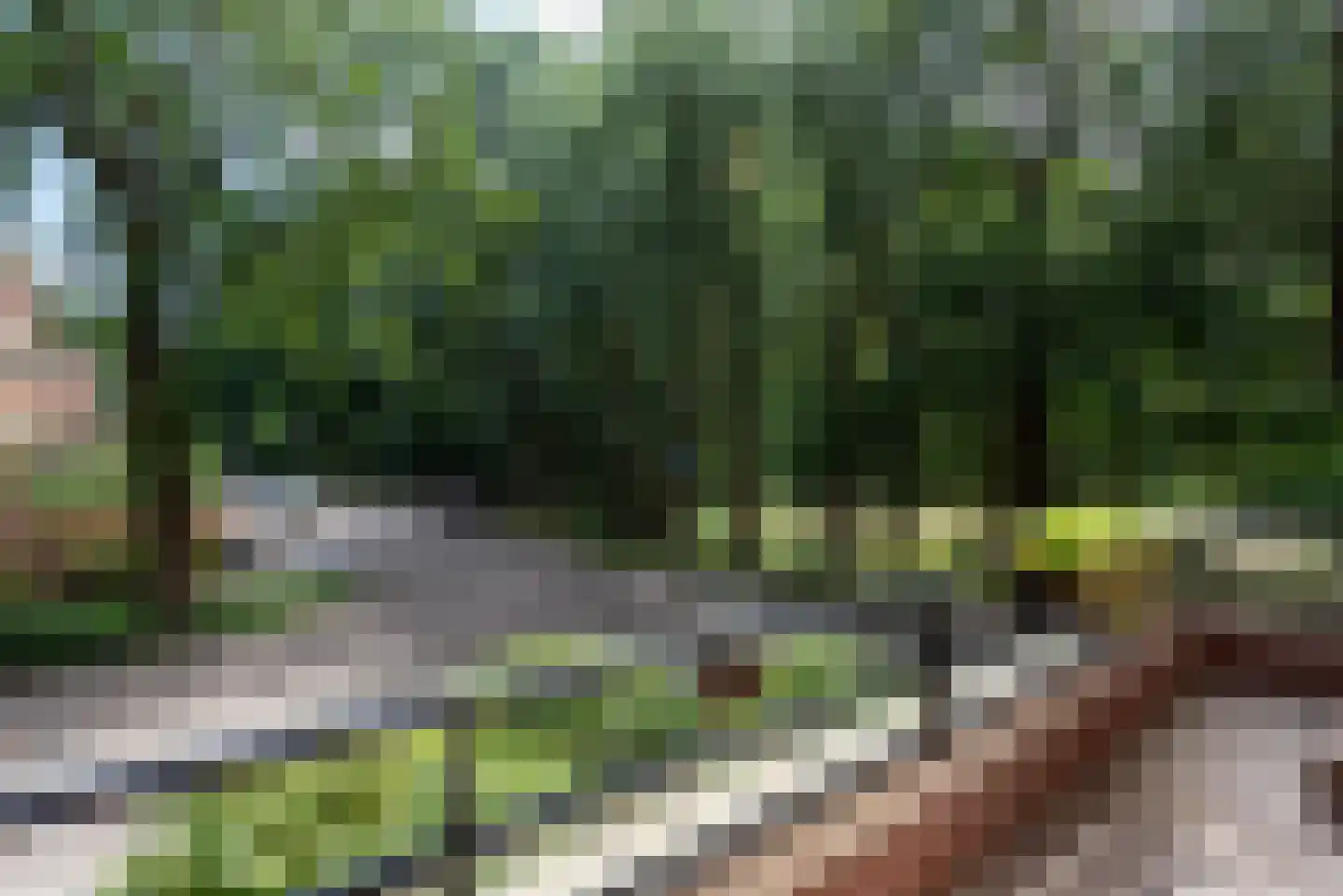 Iepenlaan 74 Alkmaar thumbnail 14