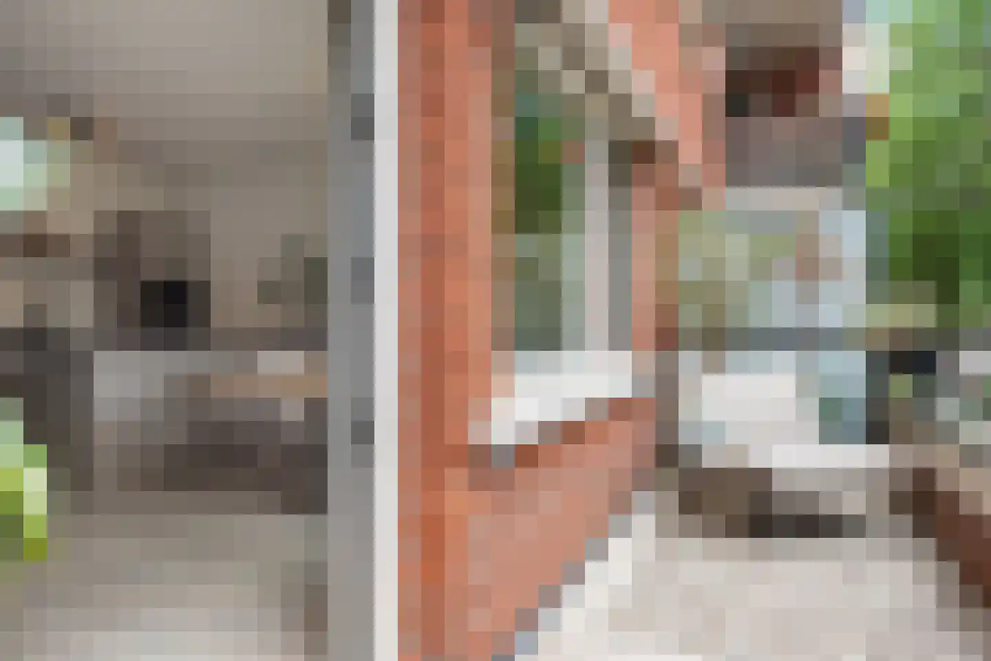 Iepenlaan 74 Alkmaar thumbnail 16