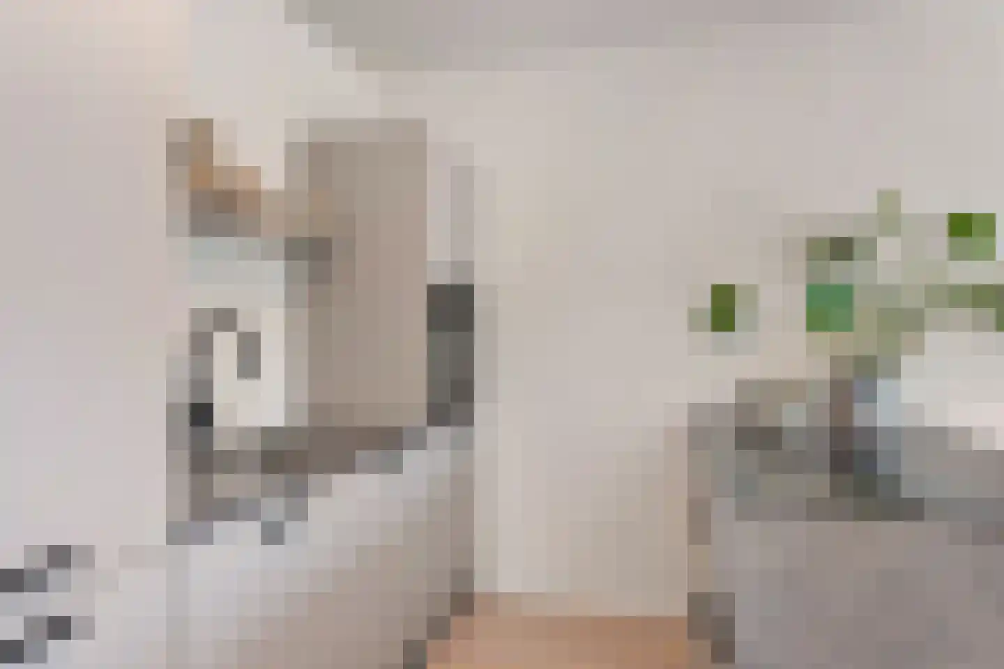 Iepenlaan 74 Alkmaar thumbnail 20