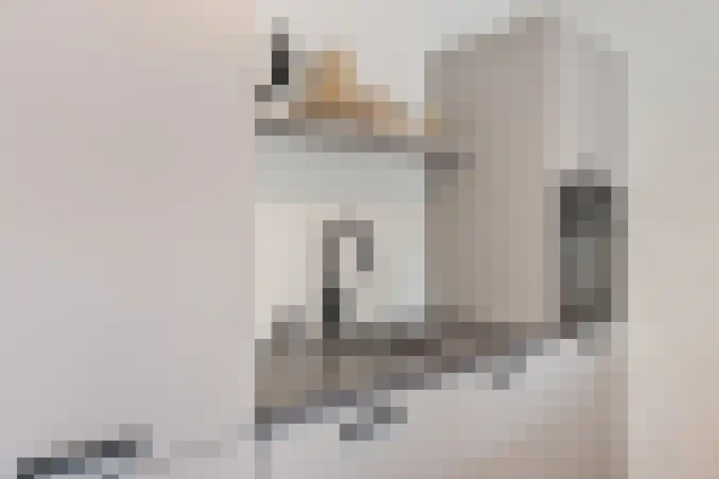 Iepenlaan 74 Alkmaar thumbnail 21