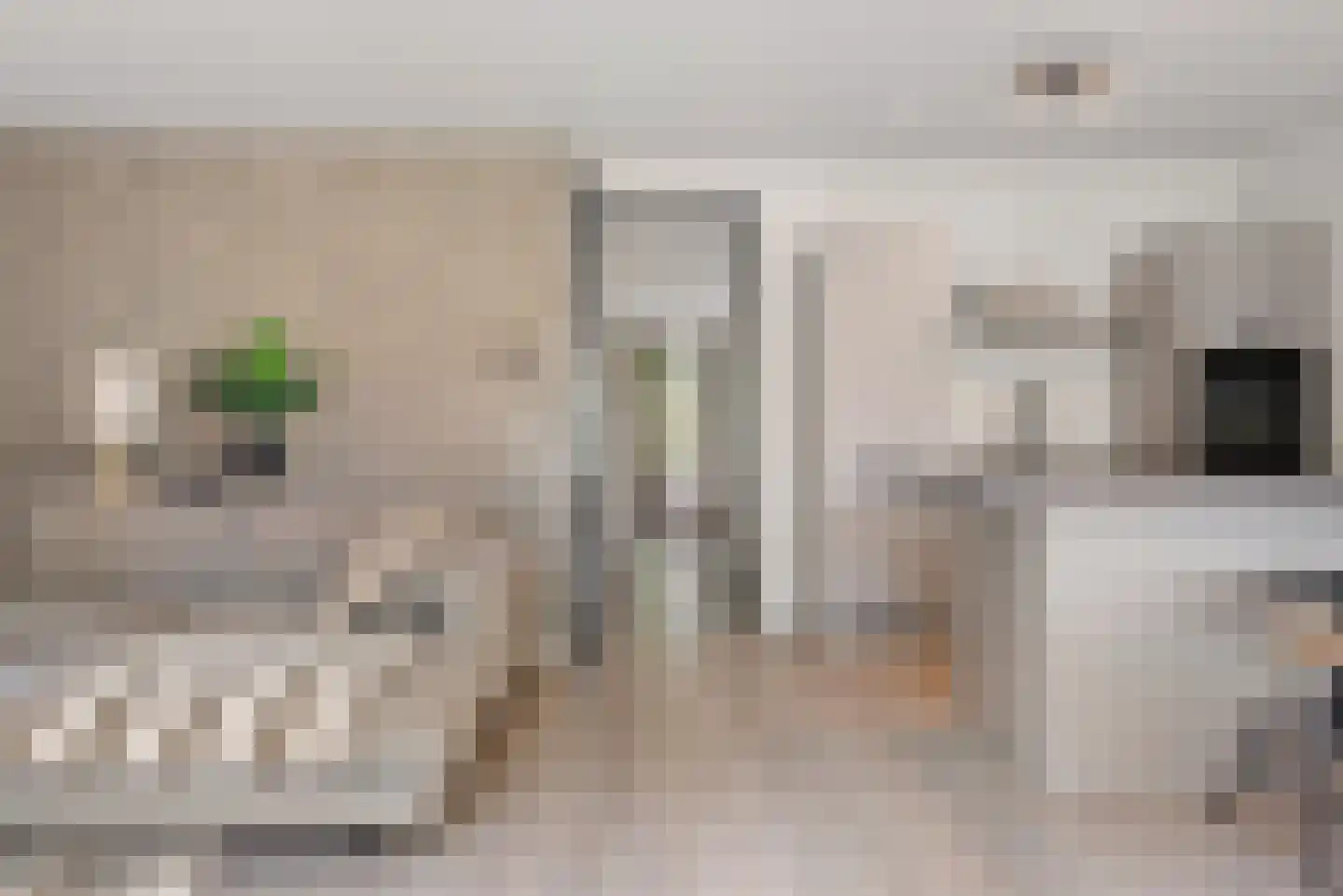 Iepenlaan 74 Alkmaar thumbnail 22
