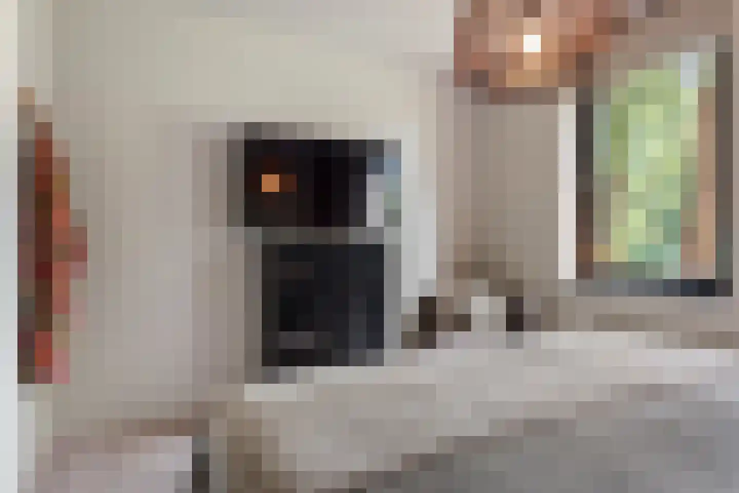 Iepenlaan 74 Alkmaar thumbnail 25