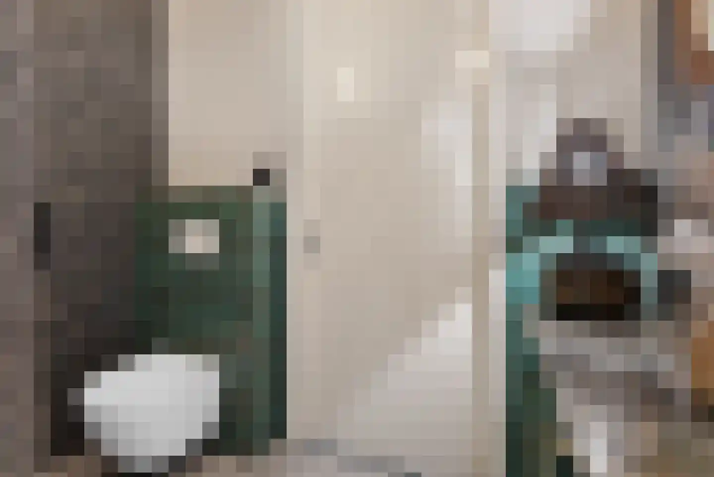 Iepenlaan 74 Alkmaar thumbnail 32