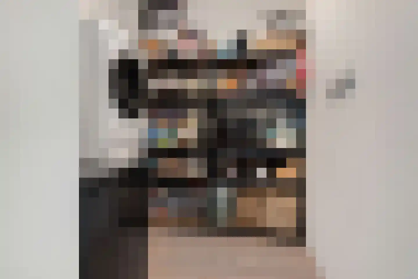 Iepenlaan 74 Alkmaar thumbnail 33