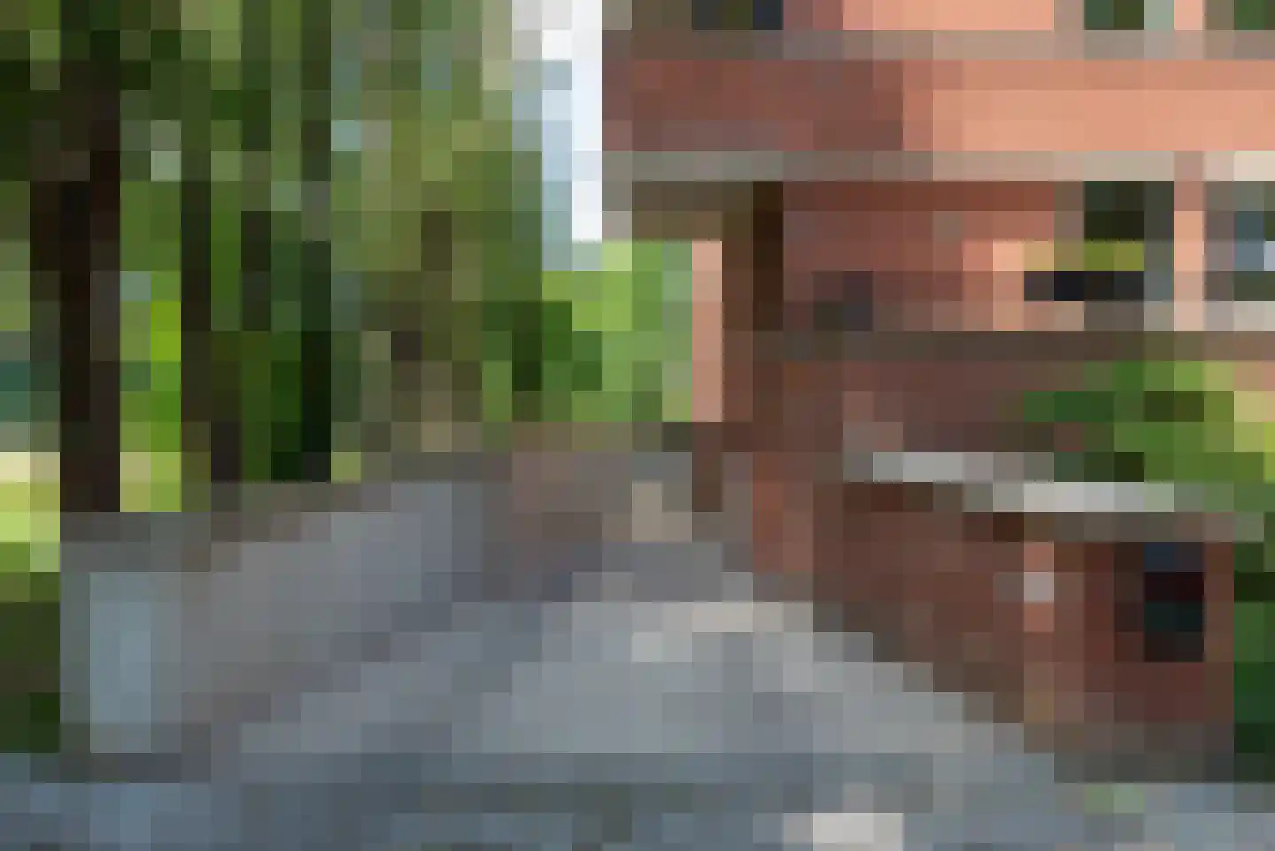 Iepenlaan 74 Alkmaar thumbnail 35