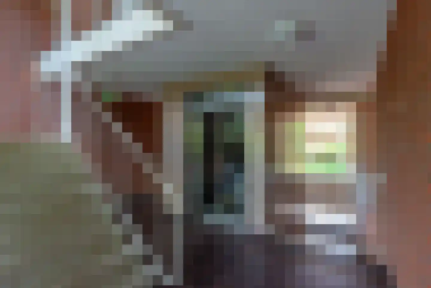 Iepenlaan 74 Alkmaar thumbnail 39