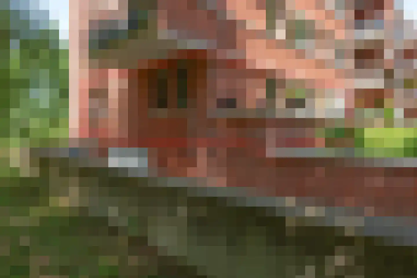 Iepenlaan 74 Alkmaar thumbnail 42