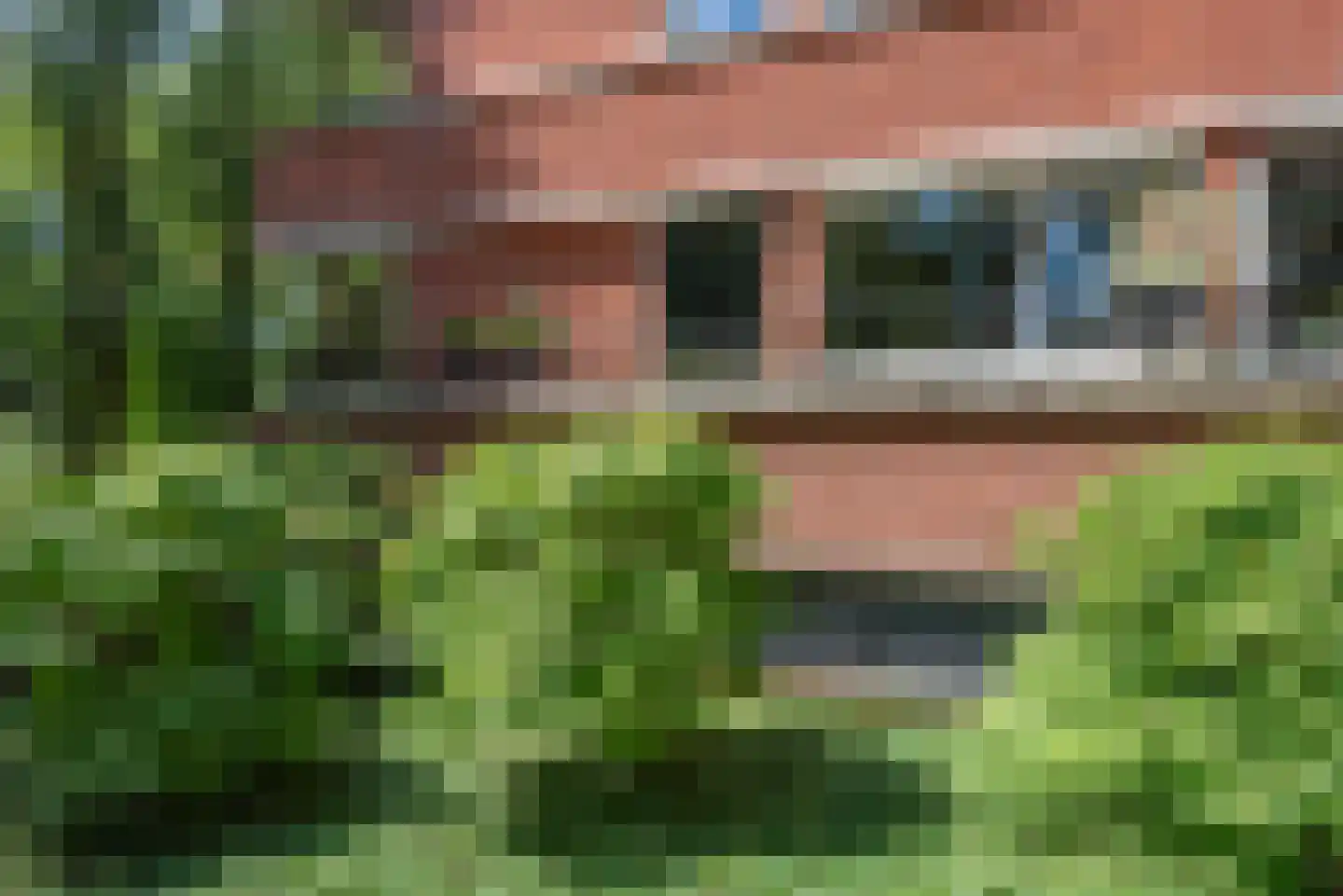 Iepenlaan 74 Alkmaar thumbnail 43
