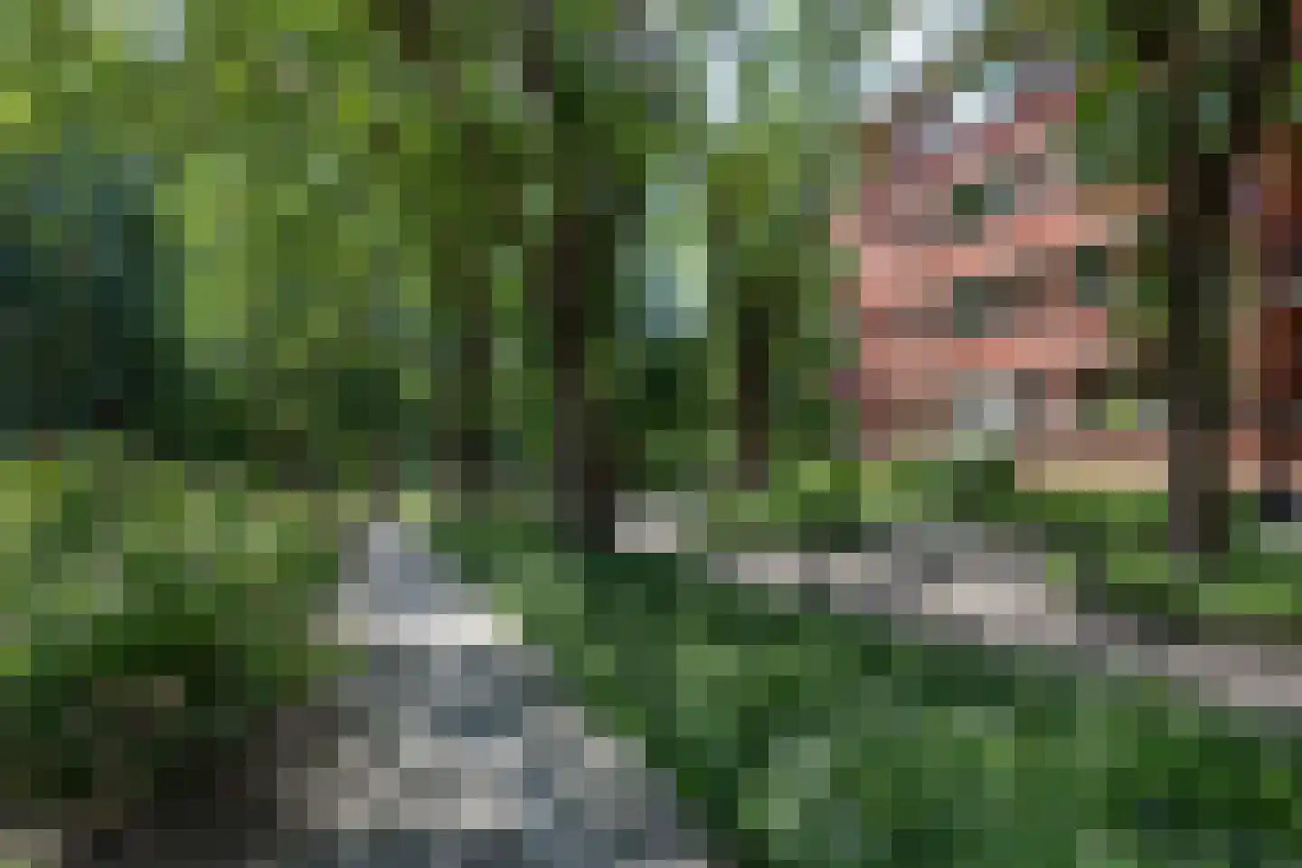 Iepenlaan 74 Alkmaar thumbnail 44